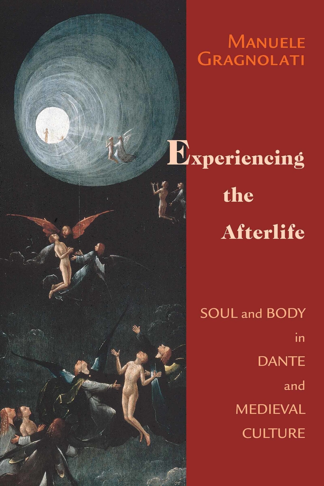 Cover image for Experiencing the Afterlife ISBN 9780268029647